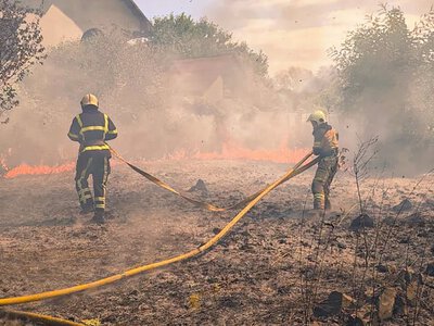 Лише за добу на Закарпатті 36 разів горіла трава та чагарники (ФОТО)
