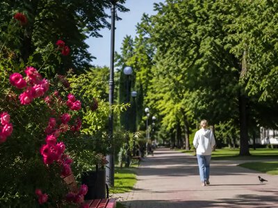 Спека до +34°, а потім різке похолодання: якою буде погода на Рівненщині на вихідних