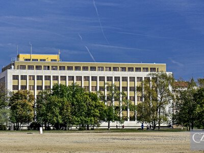 Міжнародний захист у Чехії: коли його може просити українець і що доведеться довести