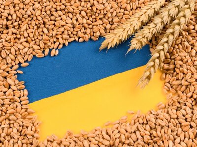 Україна ввела санкції проти суден і компаній, причетних до незаконного вивезення зерна з окупованих територій