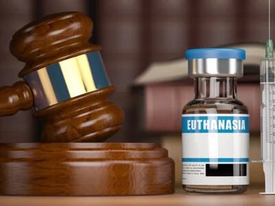 У Франції підтримали закон про асистований суїцид: що передбачає процедура