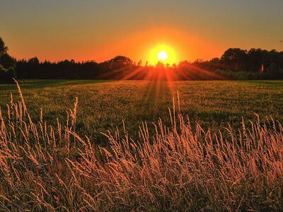 Без опадів і зі спекою до +33°C: детальний прогноз погоди на Полтавщині на 15–17 серпня