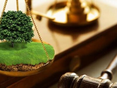 На Київщині прокуратура вимагає повернути громаді 425 га землі та 2 млн грн боргу