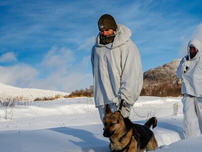 «Відстрочка» вже не рятує в Іспанії: який статус шукають у «Резерв+»