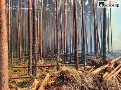 У Коростенському районі ліквідували лісову пожежу після чотирьох днів гасіння