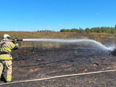 На Волині за добу вигоріло понад 2 гектари екосистем