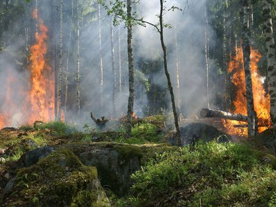 Це стається вперше: мільйони британців отримали екстрене сповіщення про небезпеку