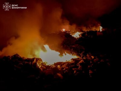 На Вінниччині за добу сталося 10 пожеж в екосистемах: вогонь знищив понад 4 гектари