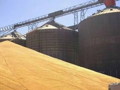 Дефіцит зерносховищ: Україна на межі кризи