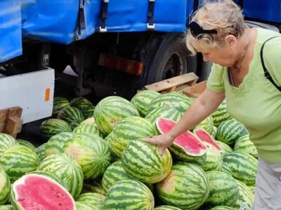 Кавуни з Херсонщини з’явилися на київських ярмарках за 19 гривень