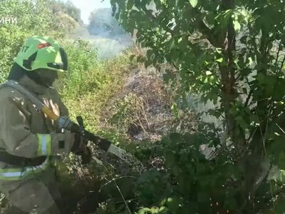 За добу рятувальники Рівненщини ліквідували 22 пожежі в екосистемах (ВІДЕО)