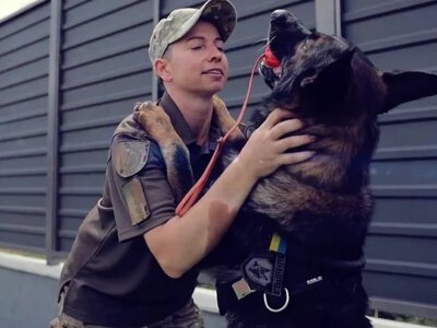  Кінологиня поліції, яка отримала поранення на Херсонщині, повернулася до служби 