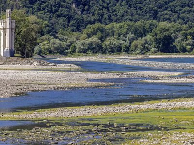 У Рейні рівень води опустився до історичного мінімуму
