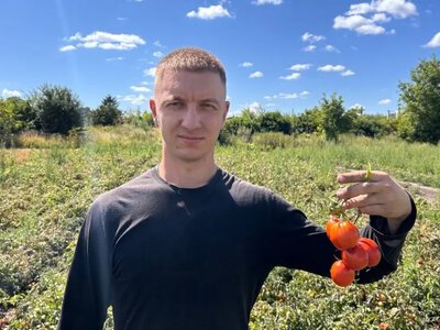 Молодий фермер з Хмельниччини вирощує 15 тисяч кущів томатів