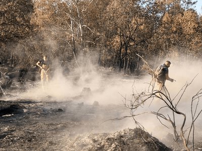 Українські рятувальники повернулися з Франції. Два тижні вони допомагали гасити масштабні лісові пожежі
