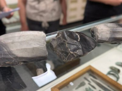 Артефакти віком до 8 тисяч років: київські митники передали музею унікальні знахідки
