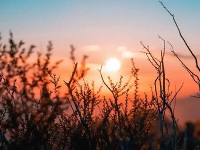 До +32°: в Україні 16 серпня очікується малохмарна погода без опадів - Гідрометцентр