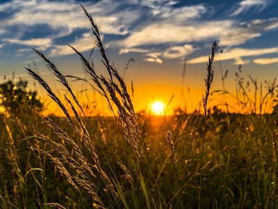 Сонячно та до +32°: якою буде погода на Прикарпатті 16 серпня