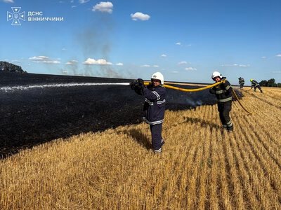 На Вінниччині рятувальники ліквідували 7 пожеж на відкритих територіях