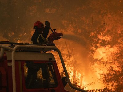 ЗМІ: у Бельгії масштабна лісова пожежа охопила понад 3000 гектарів