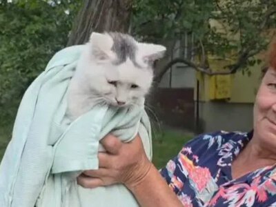 Порятунок пухнастої: у «Спецсервісі» показали, як з дерева знімали кішку