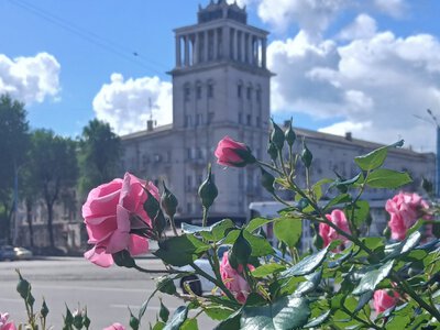 Які сюрпризи готує погода: детальний прогноз у Кам’янському з 17 по 21 серпня