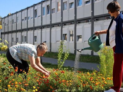 Мешканці «Маріяполісу» на Сихові облаштували городи біля тимчасових будинків