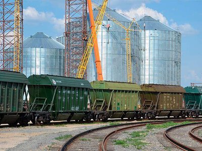 Польща відмовилася знімати заборону на українське зерно: Варшава заявила про пріоритет захисту власних фермерів