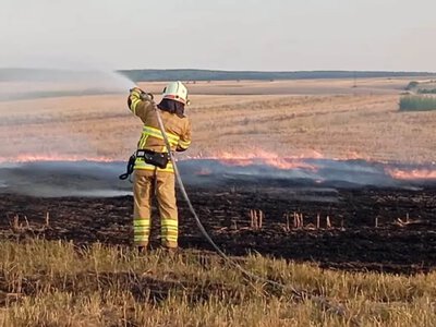 У Луцькому районі горять суха рослинність, чагарники та торф