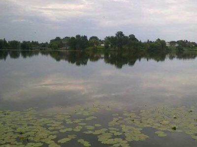 Воду на пляжі Гощанського ставу перевірили: чи безпечно купатися