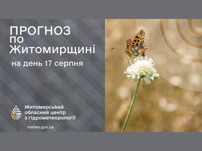Погода сьогодні на Житомирщині