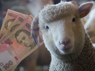ДБР викрило схему з вигаданим поголів’ям на Одещині