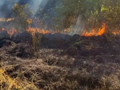 В усіх рaйонaх Вінницької облaсті нa полях горілa стерня