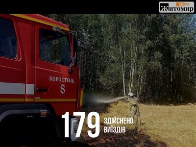 Пожежі, смертельна ДТП і боєприпаси: яким був тиждень для рятувальників Житомирщини