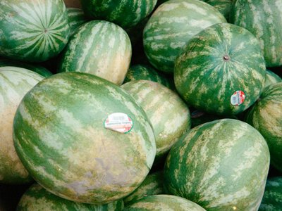 Кавуни в Україні обвалилися в ціні: фермери віддають врожай майже за копійки