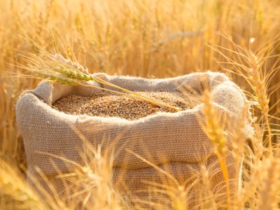 Експорт агропродукції з України впав на 57%