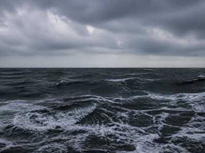 Понад 200 музикантів закликали відмовитися від буріння у Північному морі