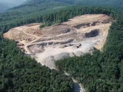 Депутат і кар'єр на 1 млрд: як на Закарпатті викрили масштабну схему