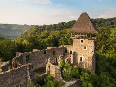Чи поверне громаді коньячний барон Гісем землі біля Невицького замку