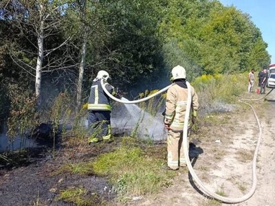 7 пожеж за добу: на Волині згоріло понад 6 гектарів сухої трави, чагарників та стерні