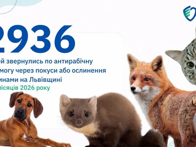 На Львівщині з початку року майже три тисячі людей звернулись до медиків з приводу укусів тварин