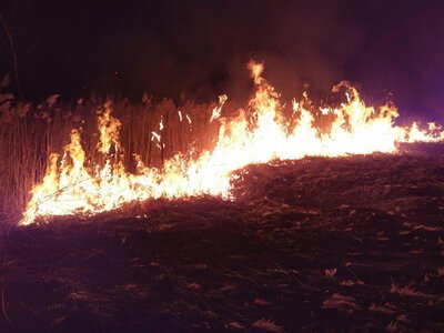 На Рівненщині від початку місяця зафіксували майже 180 пожеж на відкритих територіях