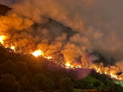 Бельгію накрила масштабна лісова пожежа