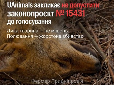 Полювання - не розвага, а жорстоке вбивство, - зоозахисники закликають заблокувати відповідний законопроект 