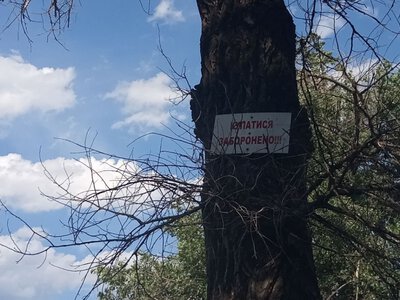 Запорізька область без пляжного сезону: де можна безпечно відпочити біля води