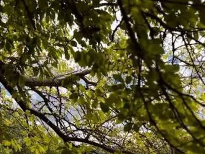 П’ять місць біля Києва для літнього відпочинку: басейни, котеджі та тиша
