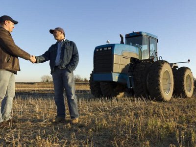 Українські фермери скаржаться на нерівний доступ до землі: у чому проблема