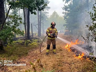 На Рівненщині спалахнула лісова пожежа: вогонь охопив близько 2 гектарів
