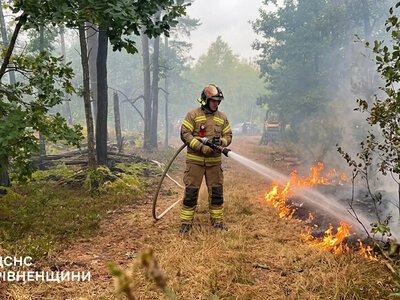 Палає 2 га: на Рівненщині понад пів сотні людей гасять масштабну лісову пожежу