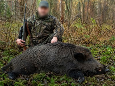 Із мисливця на Рівненщині стягнули 40 тис. грн за незаконне вбивство кабана